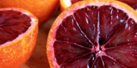 Hibrid narandže i nara